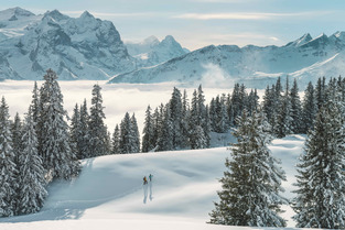 L&rsquo;hiver en Suisse, mode d&rsquo;emploi