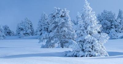Météo du jeudi 21 décembre :  De la neige, avant un week-end de Noël sous le soleil