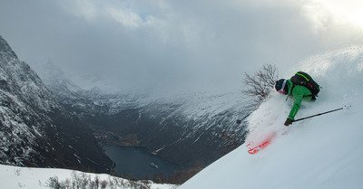 Fixations Plum&nbsp;Karibou 14 Stopper