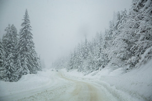M&eacute;t&eacute;o : 🎄 No&euml;l en avance, fortes chutes de neige en montagne ☃️