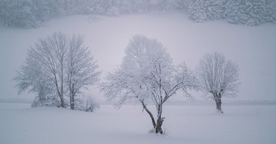 Météo du jeudi 2 janvier : Neige, puis redoux… puis neige ?