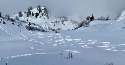 M&eacute;t&eacute;o du jeudi 20 mars : un peu trop de douceur dans ce monde de brutes