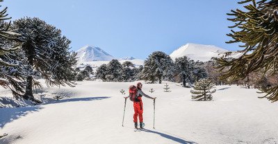 Des Volcans &agrave; la Patagonie (dernier volet de l'aventure :  PARTIE 1)