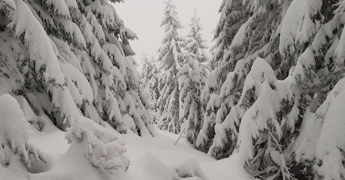Alpes du nord : bulletin m&eacute;t&eacute;o et neige