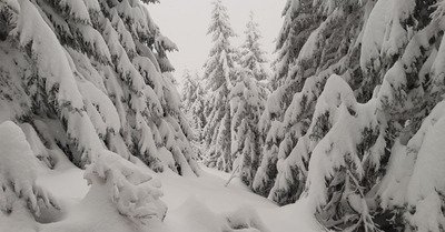 Météo du jeudi 27 novembre : Quel début de saison !