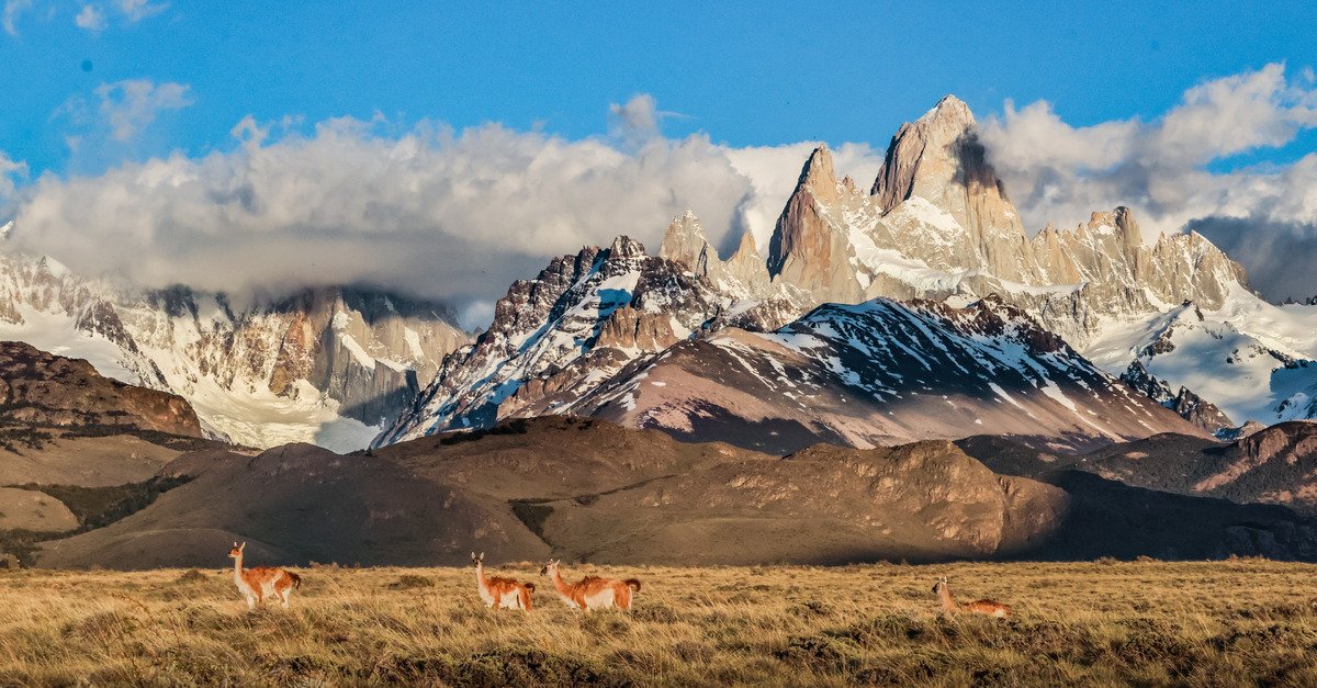 Des Volcans &agrave; la Patagonie (partie 2)