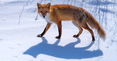 Hokkaido jour 16 : &eacute;pilogue