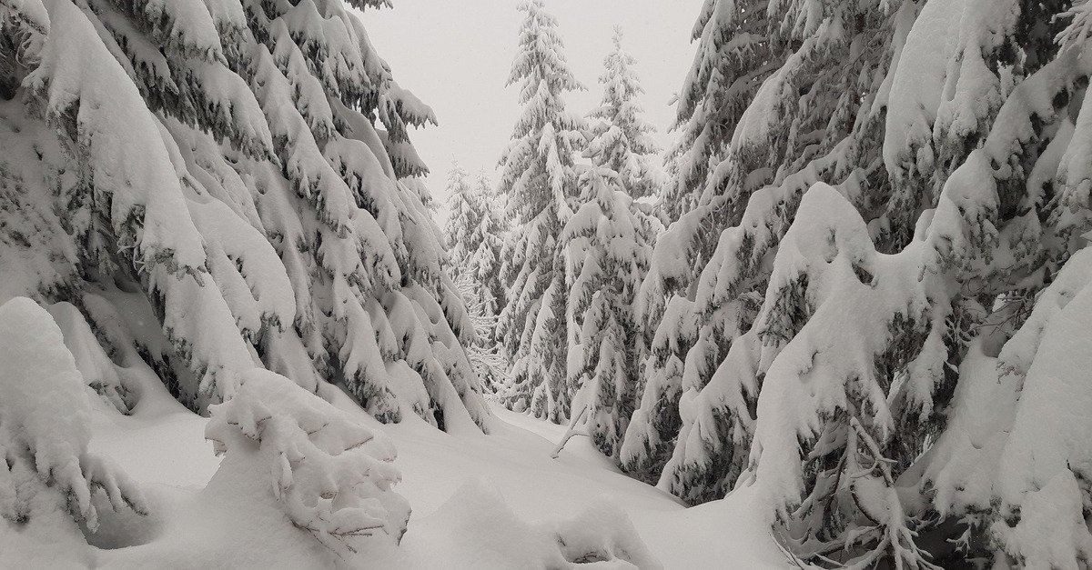 M&eacute;t&eacute;o du jeudi 22 janvier :  retour de chutes de neige plus g&eacute;n&eacute;ralis&eacute;es