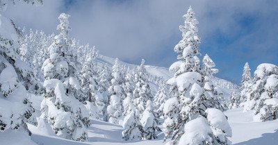 M&eacute;t&eacute;o du lundi 9 f&eacute;vrier :  tourn&eacute;e g&eacute;n&eacute;rale de neige pour les vacances, gros cumuls attendus !