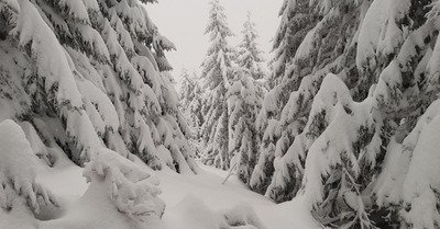 M&eacute;t&eacute;o du jeudi 12 f&eacute;vrier :  temp&ecirc;te de neige, cela n'en finit plus !