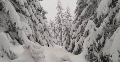 M&eacute;t&eacute;o neige du jeudi 26 mars : du froid et de la neige, c'est le plein hiver !