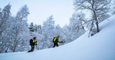 Chaussure de ski Scarpa F1 RS