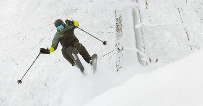 Skis Raccoon Grizzly