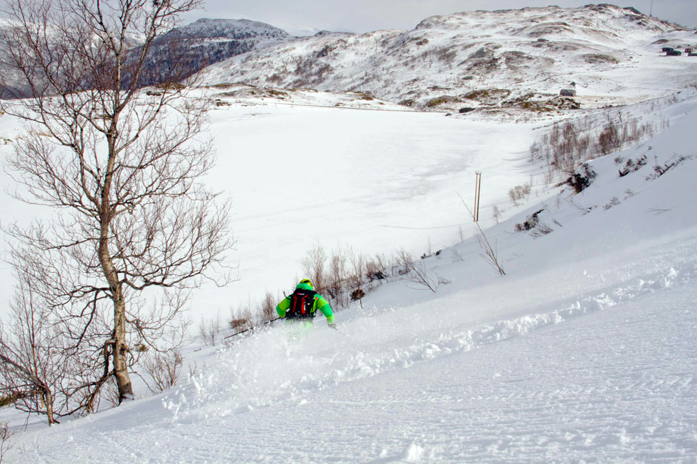 dans la fraiche