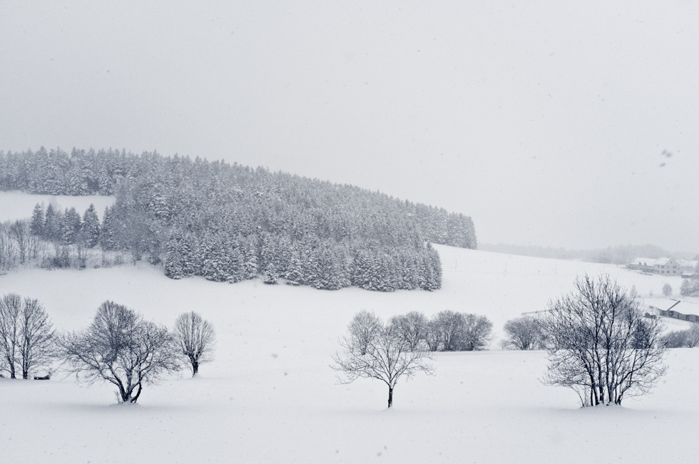 Vercors