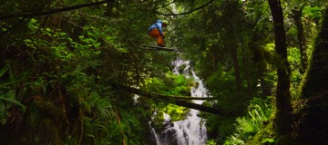 Ski en for&ecirc;t printani&egrave;re - VALHALLA