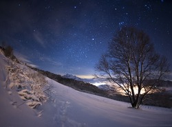 Snow stars