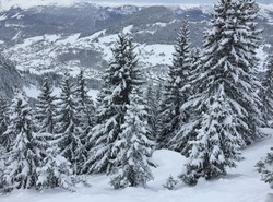 Powder Day La Clusaz !!