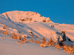 Ski de randonnée Pelvoux-Vallouise