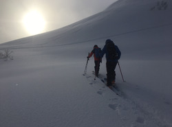 NISEKO JAPON FREERIDE JANVIER 2019