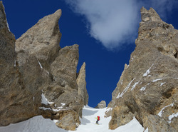 dans la Casse Déserte