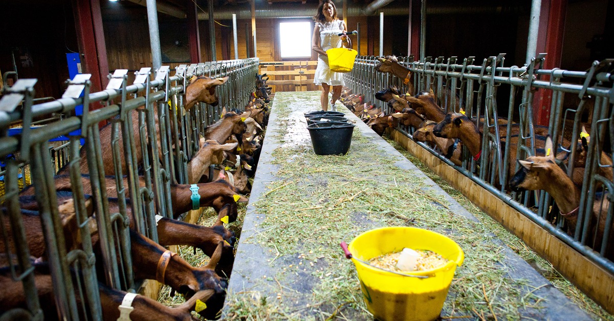 Magasin La Ferme du Mont Thabor à Valmeinier