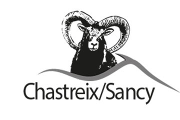 Logo Chastreix-Sancy