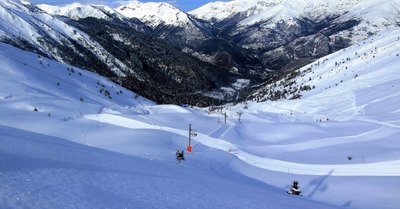 Goulier
