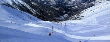 Goulier
