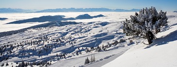 Les Aillons - Marg&eacute;riaz