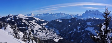 Morgins