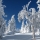 Avatar skipow