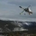 Avatar pitit_candide_thovex