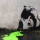 Avatar Delidan