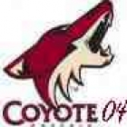 coyote04