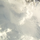 Avatar neigeagogo