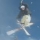 Avatar goldoo