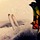 Avatar Locride9
