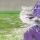 Avatar tint74