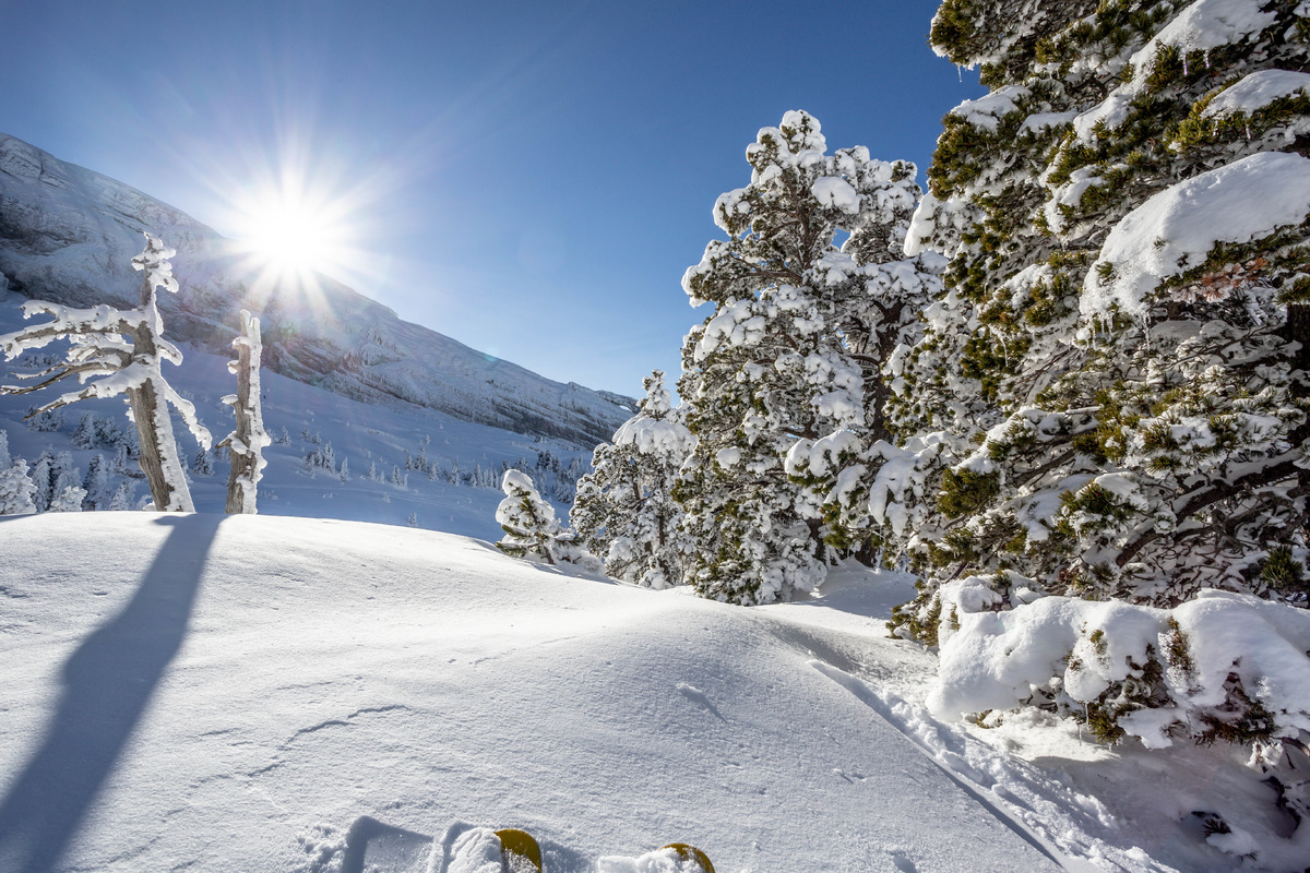 Villard de Lans mardi 15 janvier 2019