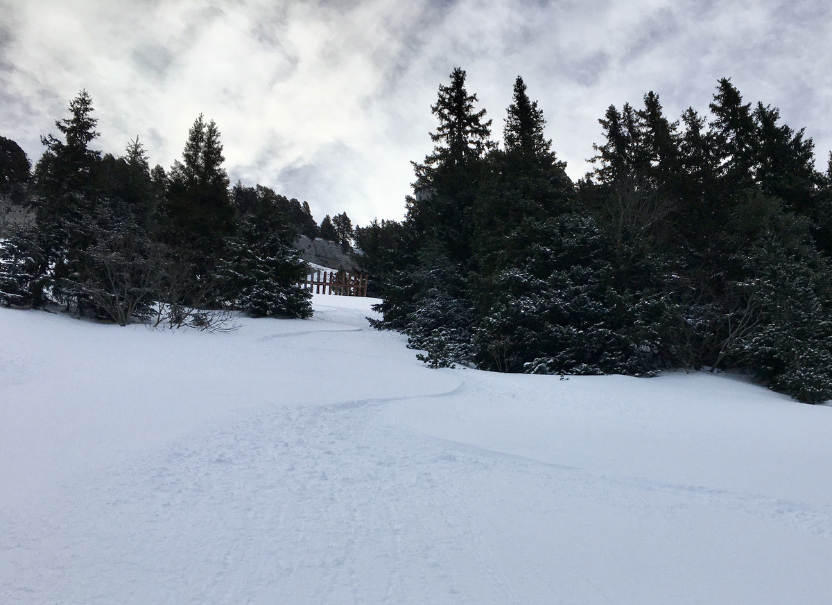 Col de Porte jeudi 27 février 2020