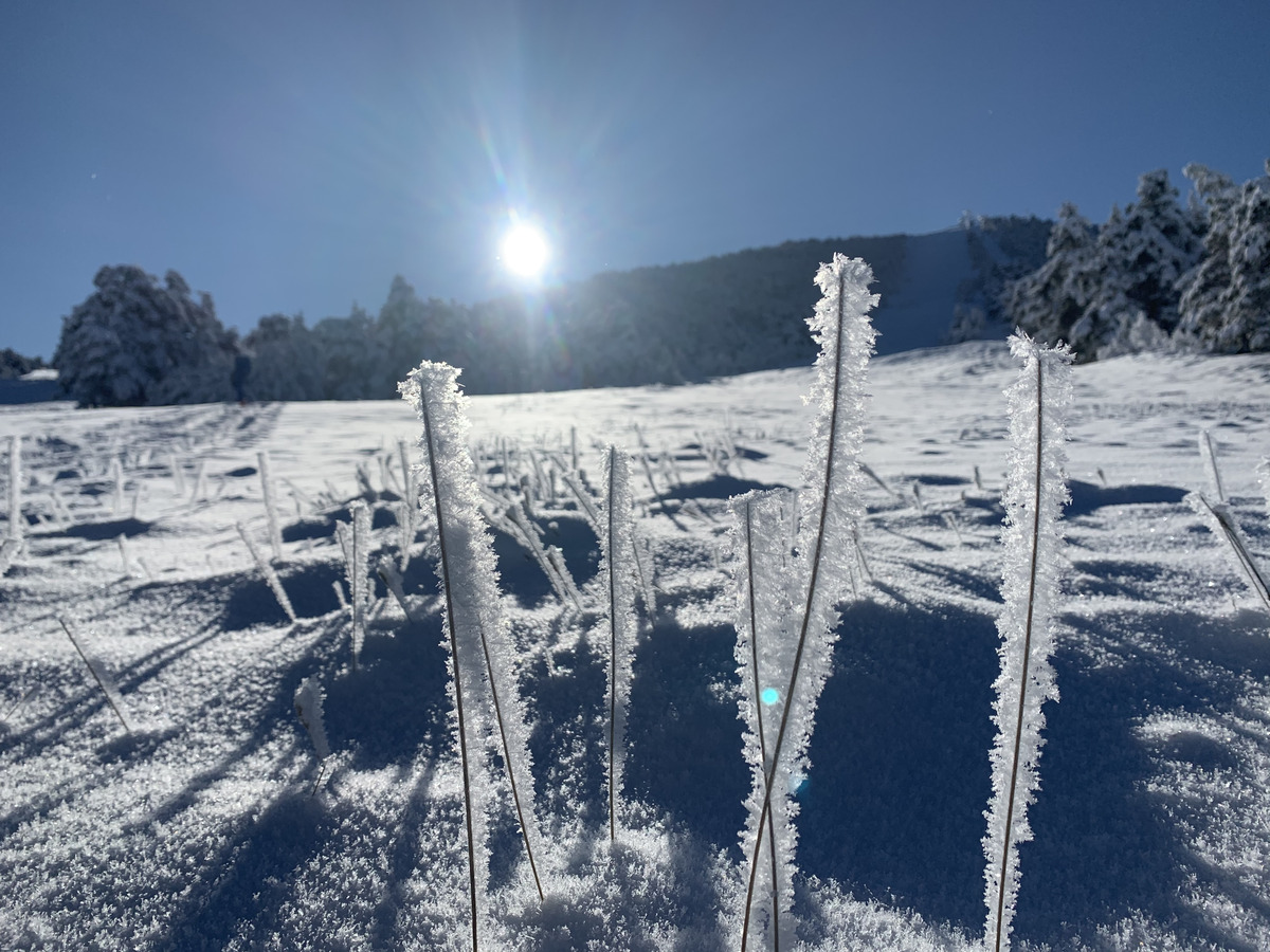 Air B And B Greolieres Les Neiges